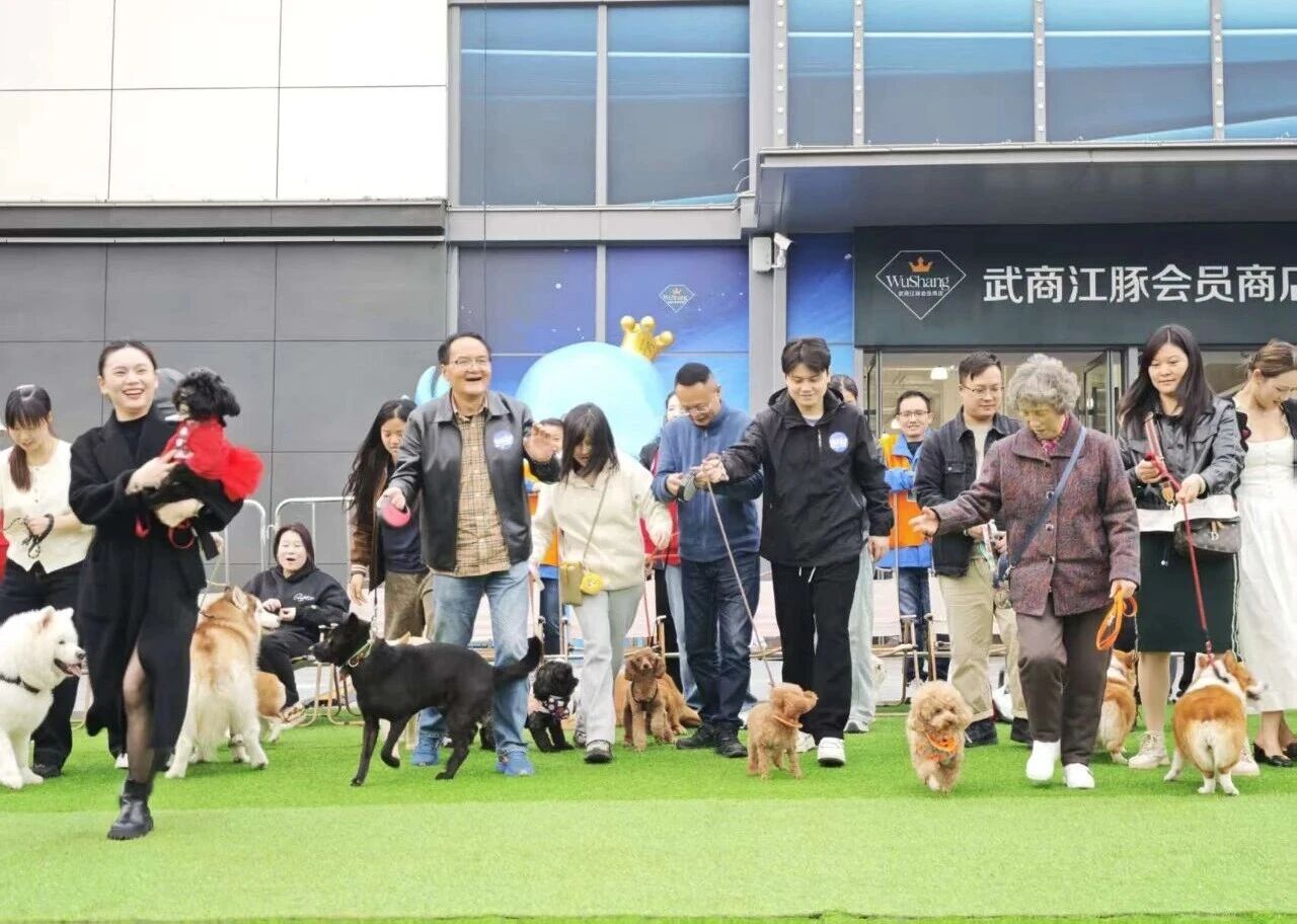 XPJ·娱乐(中国游)官方网站