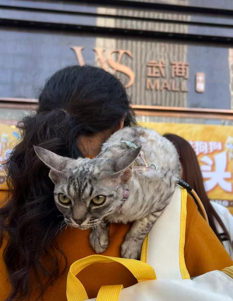 XPJ·娱乐(中国游)官方网站