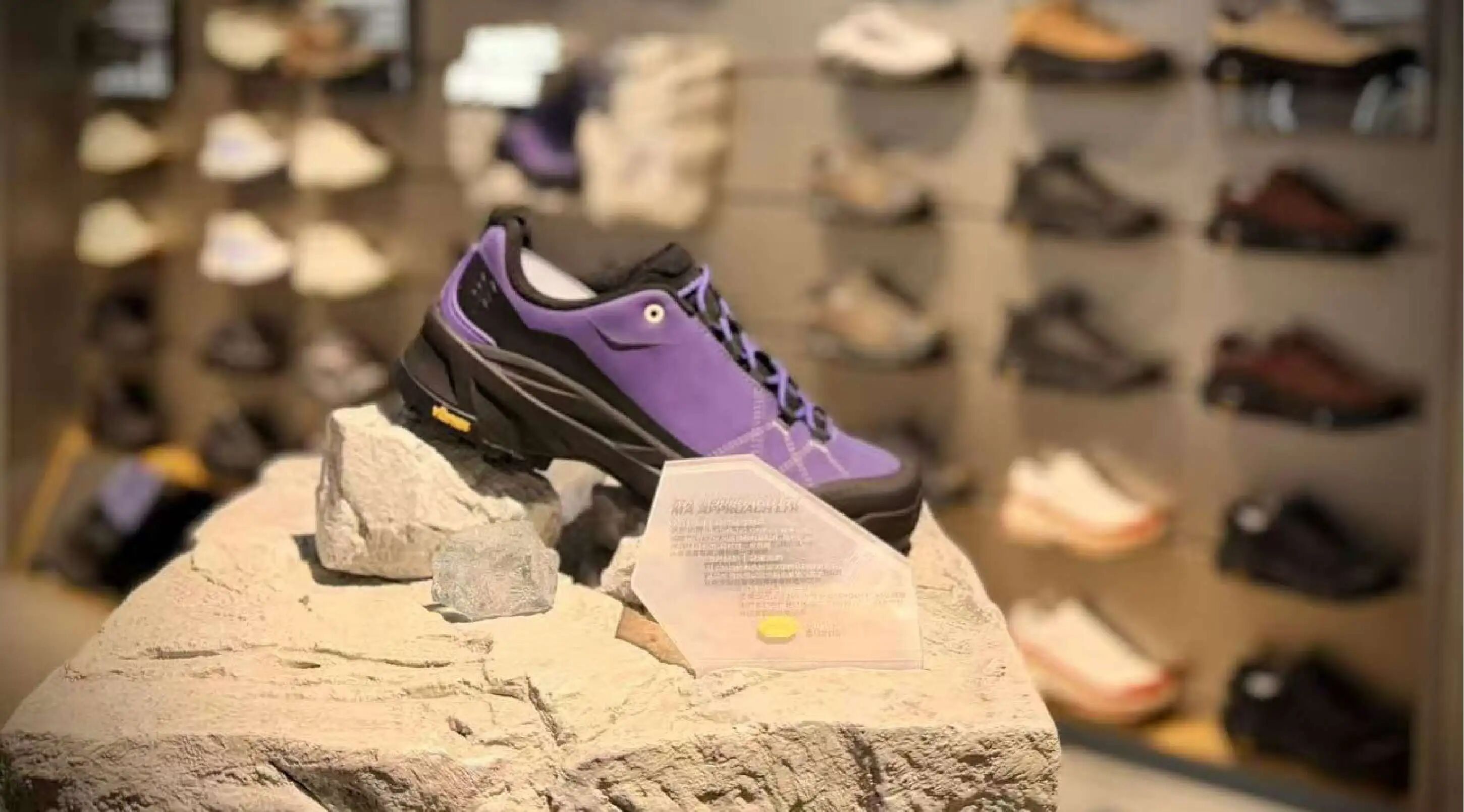 XPJ·娱乐(中国游)官方网站